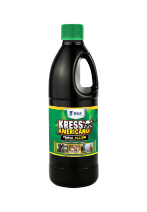 Kresso americano Brisk 1LT.